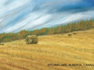 Sylvan Lake Hay (Postcard)