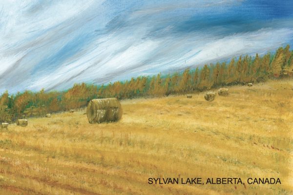 Sylvan Lake Hay (Postcard)